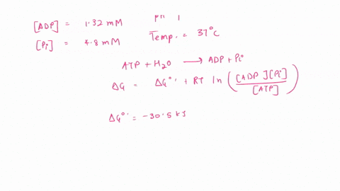 1-calculate-the-actual-free-energy-of-hydrolysis-of-atp-g-in-a-rat-hepatocyte-cell-the-concentration-is-atp-adp-and-pi-are-shown-in-table-13-5-shown-assume-for-simplicity-that-the-ph-is-70-a-16966