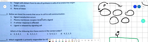 in-paracrine-signaling-the-signaling-molecules-affects-only-target-cells-close-to-the-cell-from-which-it-was-secreted-target-cells-distant-from-its-site-of-synthesis-in-cells-of-an-endocrine-73283