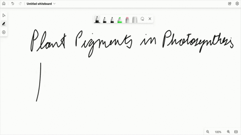 what-plant-pigments-are-involved-in-photosynthesis-95214