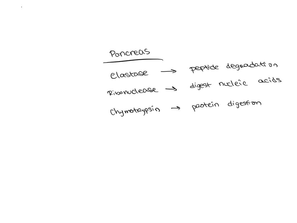 VIDEO solution Question 18 Which of the following enzymes from the