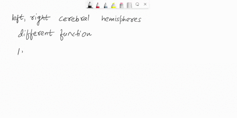 the-cerebral-hemispheres-usually-specialize-in-different-functions-in-complete-sentencesname-the-two-hemispheres-and-assign-at-least-one-known-specialized-function-for-each-for-majority-of-p-43732