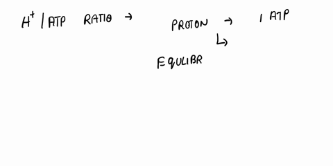 1-number-of-moles-of-h-required-by-atp-synthetase-for-the-production-of-3-moles-of-atp-a-1-b-2-c-3-d-6-e-9-_____________-2-the-reaction-12-o2-2h-h2o-occurs-in-a-complex-i-b-complex-ii-c-cyto-32002