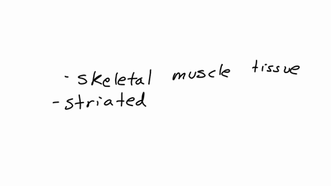 you-are-given-a-task-in-a-laboratory-at-science-campus-to-examine-muscle-tissue-through-a-microscope-you-notice-a-striped-pattern-what-is-responsible-for-creating-this-distinctive-pattern