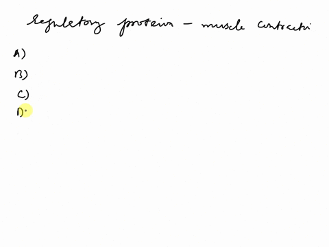which-of-the-following-are-the-regulatory-protein-in-the-muscle-contraction-a-troponin-and-tropomyosin-b-troponin-and-actin-c-myosin-and-tropomyosin-d-actin-and-tropomyosin-75997