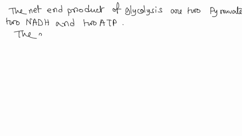 taking-one-mole-glucose-through-glycolysis-and-slage-ol-resplration-and-the-citric-acid-cycle-generates-nef-reaction-of-c02-mol-0l-nadh-mol-0f-fadhz-mol-0l-atp-95528