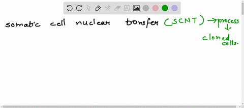 explain-and-describe-the-process-of-somatic-cell-nuclear-transfer-and-how-it-is-used-to-create-cloned-cells-moreover-explain-what-you-consider-to-be-the-positive-at-least-3-and-negative-at-l-32214