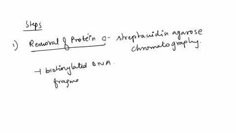 biochemist-is-attempting-to-separate-a-dna-binding-proteins-in-a-solution-only-three-other-protein-protein-x-from-other-have-the-following-proteins-a-band-c-are-present-the-properties-protei-66582