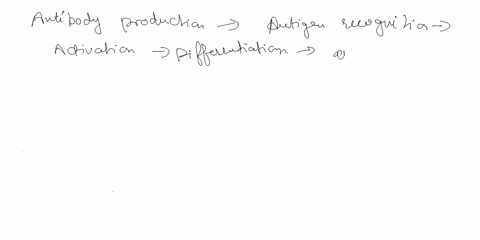 a-explain-the-steps-that-result-in-antibody-production-b-describe-the-process-that-results-in-an-activated-b-cell-38605