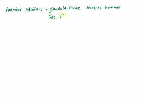 describe-the-parts-of-the-pituitary-gland-including-nervous-tracts-and-vascularization-22238