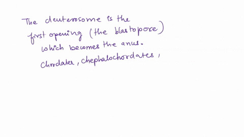 which-of-the-following-is-not-a-deuterostome-a-echinoderm-b-chordate-c-hemichordate-d-arthropod-c-ha-24972