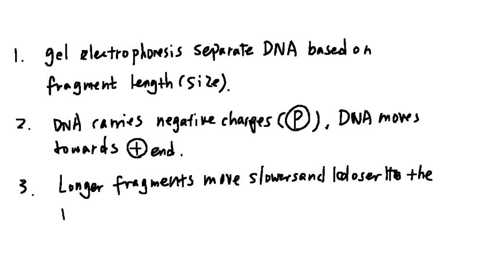 SOLVED Once you finish doing the online flash lab at Utah (above