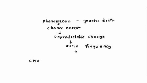 the-phenomenon-in-which-chance-events-cause-unpredictable-changes-in-allele-frequencies-is-called-a-79678