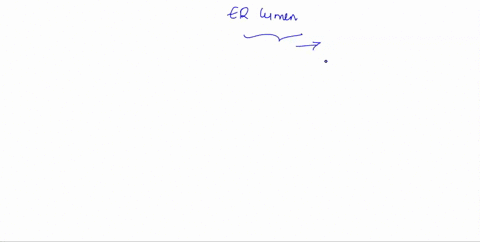 1-describe-what-happens-when-proteins-transported-to-the-er-lumen-are-not-folded-correctly-also-what-happens-if-the-proteins-will-not-fold-correctly-even-after-help-80633