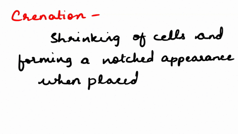 if-you-want-to-observe-a-red-blood-cell-undergoing-crenation-you-would-place-it-in-which-of-the-following-a-solution-of-05-nacl-and-25-glucose-a-solution-of-09-nacl-and-5-glucose-a-solution-53224