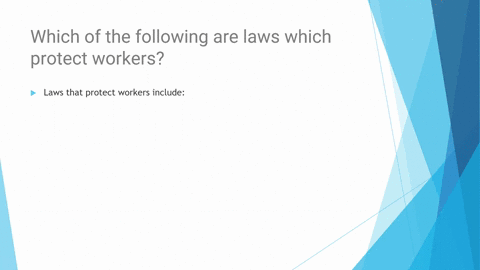 which-of-the-following-are-laws-which-protect-workers-42601