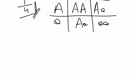 32-_-a-woman-and-a-man-are-both-heterozygous-for-a-recessive-allele-for-a-rare-genetic-disease-if-they-have-one-child-what-is-the-probability-that-he-or-she-will-be-affected-if-they-have-two-55178