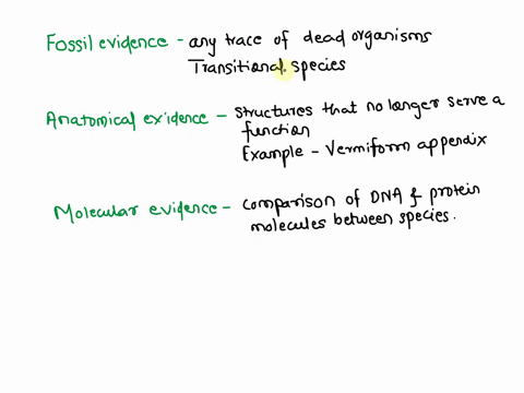 name-three-things-that-show-evidence-of-evolution-write-one-sentence-for-each-explaining-why-it-demonstrates-evidence-26864