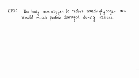 q1-aerobic-training-results-in-increased-size-and-number-of-mitochondria-what-effect-would-this-have-on-oxygen-deficit-and-epoc-select-all-that-are-correct-the-oxygen-deficit-will-be-smaller-76691