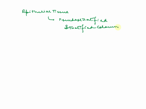 place-the-following-names-of-tissues-in-the-appropriate-tissue-category-epithelial-tissue-transitional-pseudostratified-areolar-smooth-connective-tissue-cardiac-neurons-muscle-tissue-simple-32565