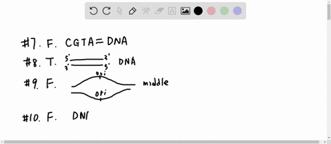 truelfalse-if-the-statement-is-false-correct-the-statement-7-cytosine-guanine-thymine-and-adenine-are-the-nitrogen-bases-of-the-nucleic-acid-rna-8-the-dna-double-helix-is-two-antiparallel-st-00544