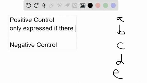 which-of-the-following-is-an-example-of-positive-control-a-transcription-occurs-when-a-repressor-b-5-65207