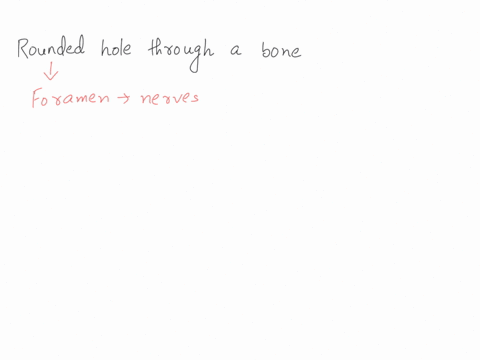 a-rounded-hole-through-a-bone-is-termed-as-ramus-foramen-tubercle-fissure-20595