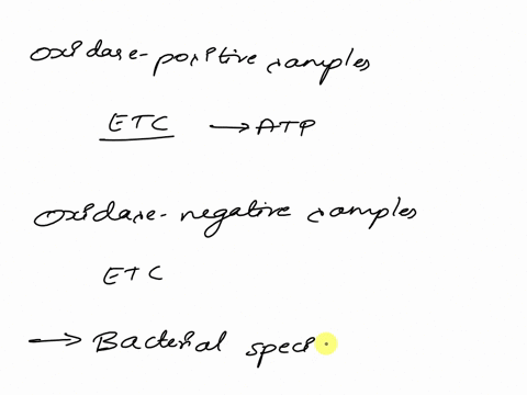 defaultfilesv3-microbiologyznd-edition_-microbiologydocsmb_6200_l09-icaltests-differentialbiochemicaltestsmb-docx-6200-d-changes-ecits-nct-e-atcmaticall-savar-3avo-ie-t-b1u-4-aerobic-bacteri-45603