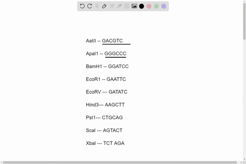 fill-in-the-missing-bases-in-recognition-sequence-of-restriction-enzymes-type-ii-restriction-enzymes-cut-double-stranded-dna-close-to-or-within-their-recognition-sequences-that-are-usually-p-14464