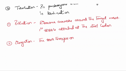 write-out-all-the-steps-of-transcription-and-translation-for-protein-synthesis-describe-where-they-take-place-in-the-cell-be-sure-to-discuss-the-3-types-of-rna-and-how-they-are-used-these-pr-03708