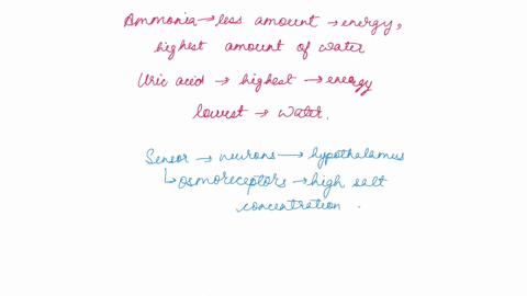 body-fluid-homeostasis-kidney-anatomy-5t-bnatan-endeuumuataa-deu-negative-feedback-loops-help-regulate-water-loss-urine-concentration-adh-antidiuretic-hormone-regulate-waler-levels-body-dehy-79074