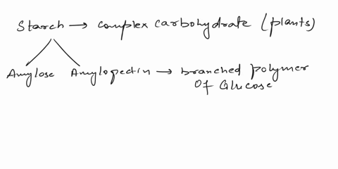 starch-is-a-mixture-of-a-a-amylose-and-amylopectin-b-glycogen-and-amylopectin-c-glycogen-and-amylose-d-glycogen-and-cellulose-e-a-amylose-and-maltose-01416