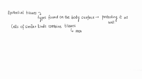 which-statement-about-body-tissues-is-false-epithelial-tissue-lines-inner-and-outer-body-surfaces-each-tissue-type-consists-mostly-of-a-single-type-of-cell-an-organ-is-usually-composed-of-a-26233