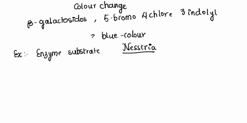 interpretations-of-results-color-changes-galactosidase-produced-by-n-lactamica-hydrolyzes-5-bromo-4-chloro-3-indolyl-dgalactoside-xgal-to-produce-a-blue-colored-endproduct-n-meningitidis-pro-64173
