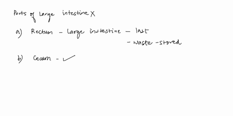 question-191-point-which-of-these-is-not-part-of-the-large-intestine-oa-recturm-ob-cecum-po-ascendingcolon-od-ileum-next-page-back-15576