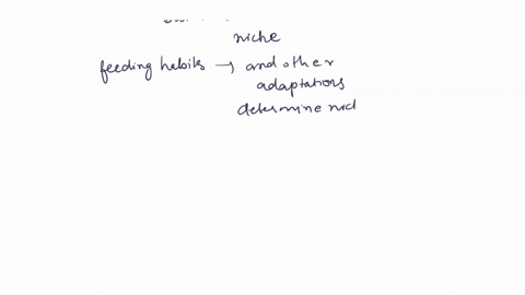 what-is-the-advantage-of-these-different-feeding-niches-for-the-birds-a-less-competition-for-food-b-fewer-abiotic-resources-for-each-bird-species-fewer-biotic-resources-for-each-bird-species-50715