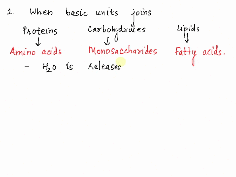 1-the-chemical-union-of-the-basic-units-of-carbohydrates-lipids-or-proteins-always-produces-the-product-a-acid-b-carbon-c-energy-d-water-2-which-of-the-following-is-a-polysaccharide-a-cellulose-b-gluc