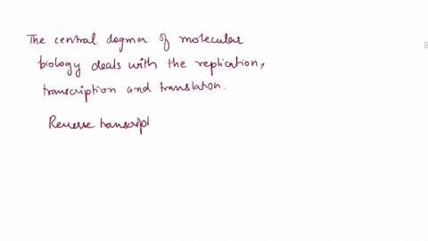 fill-in-the-outline-noting-the-major-differences-in-each-step-of-transcription-for-prokaryotes-and-eukaryotes-word-bank-termination-elongation-initiation-pribnow-box-10-20-35-consensus-seque-64912