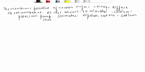 describe-the-membrane-potential-of-a-neuron-and-the-changes-to-its-membrane-that-occur-during-a-stimulus-that-achieves-an-action-potential-include-the-ions-that-are-involved-and-how-and-when-51731