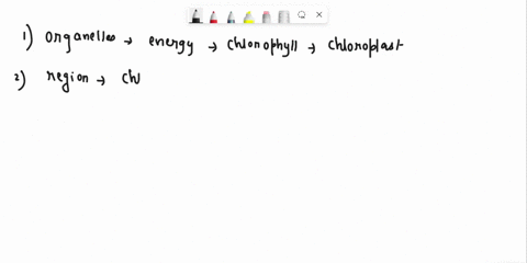 energv-converting-membranous-sac-like-organelles-in-plant-cells-chlorophyll-are-called-containing-the-green-pigment-chloroplasts-chlorophyll-thylakoids-none-of-the-above-the-region-within-th-10292