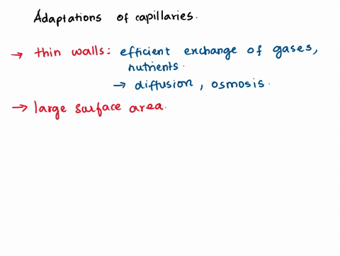 explain-four-ways-in-which-capillaries-are-adapted-to-their-functions-88559
