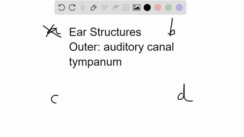 which-represents-the-correct-sequence-as-sound-waves-travel-in-the-ear-to-trigger-an-impulse-a-cochlea-incus-stape-eardrum-b-tympanum-bones-in-the-middle-ear-cochlea-hair-cellsss-c-auditory-canal-ty-2