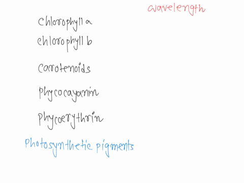 chlorophyll-b-80-chlorophyll-a-chlorophyll-a-carotenoids-phycocyanin-60-phycoerythrin-chlorophyll-b-40-l-20-400-500-600-700-wavelength-of-light-nanometers-phycoerythrin-420-680-nm-phycoeryth-24679