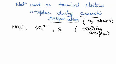which-if-any-of-the-following-molecules-could-not-be-used-as-terminal-electron-acceptor-during-anaerobic-respiration-if-all-the-molecules-listed-could-be-used-as-terminal-lectron-acceptor-du-59143