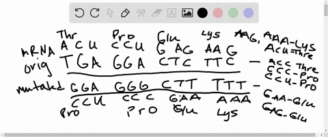 sometimes-when-dna-replicates-a-mistake-is-made-and-one-of-the-bases-is-incorrect-if-the-proofreading-enzymes-do-not-correct-the-mistake-sometimes-the-wrong-protein-results-but-sometimes-the-96213