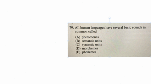 79-all-human-languages-have-several-basic-sounds-in-common-called-a-pheromones-b-semantic-units-c-syntactic-units-d-morphemes-e-phonemes-80-the-sequence-of-shifts-in-the-electrical-charge-of-a