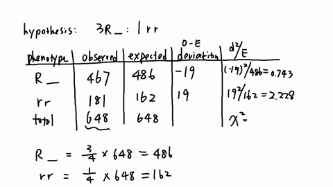 begintabularllllll-hline-phenotype-o-e-o-e-o-e2-o-e2-e-hline-r-su-348-3645-165-27225-075-hline-r-susu-119-1215-25-625-005-hline-rrsu-139-1215-175-30625-253-hline-rrsusu-42-405-15-225-055-hline-totals