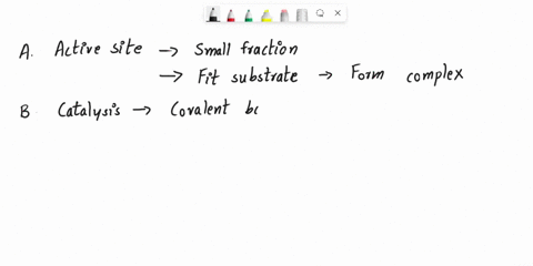 which-of-the-following-statements-are-correct-explain-your-answers-a-the-active-site-of-an-enzyme-2-64892