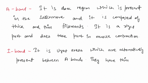 what-is-the-function-of-the-following-structures-in-the-muscle-a-a-band-b-i-band-c-h-zone-d-z-line-e-m-line-f-sarcomere-87343
