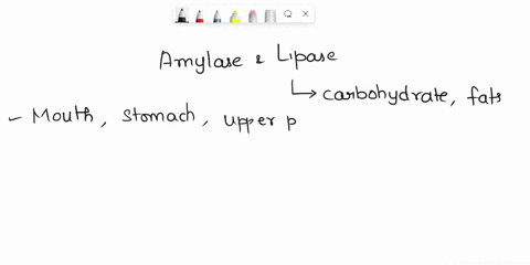 question-5-1pts-amylase-and-lipase-secreted-here-catalyze-digestion-of-carbohydrates-and-fatscheck-all-that-apply-stomach-cecum-esophagus-duodenum-liver-mouth-pancreas-colon-illeum-jejunum-g-73207