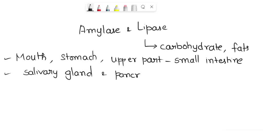 SOLVED: Amylase and lipase secreted here catalyze digestion of ...